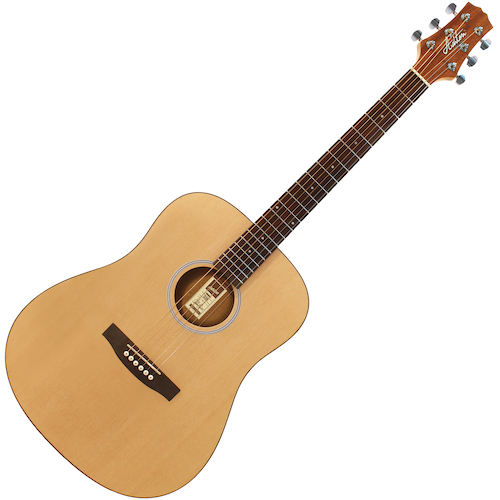 Ashton D20 Acoustic Guitar (4 Colours)