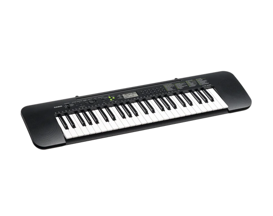 Casio CTK-240 Keyboard