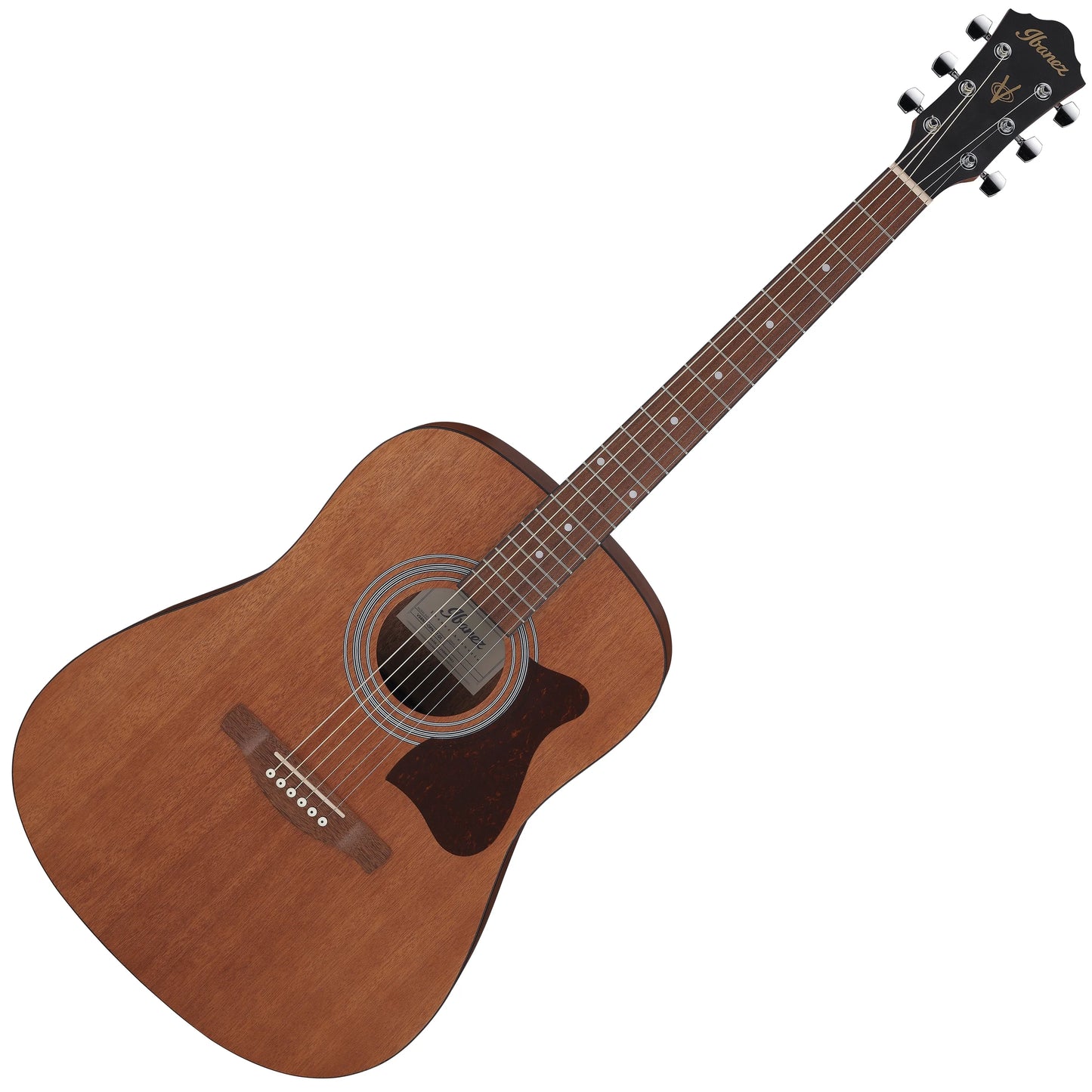 Ibanez V54NJP Acoustic Guitar Jam Pack (Open Pore Natural)
