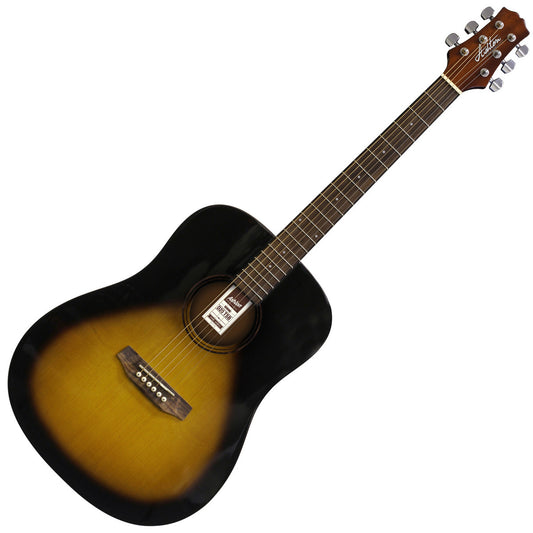 Ashton D20 Acoustic Guitar (4 Colours)