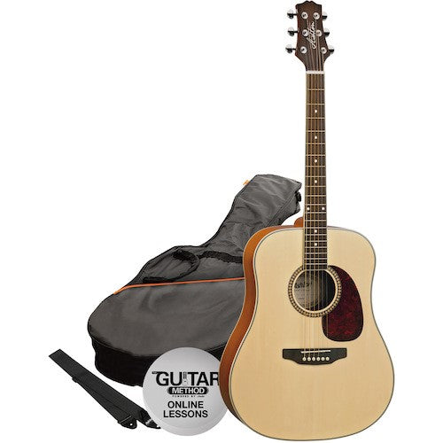 Ashton D25 Acoustic Steel String Guitar Pack w/Bag (7 colours)