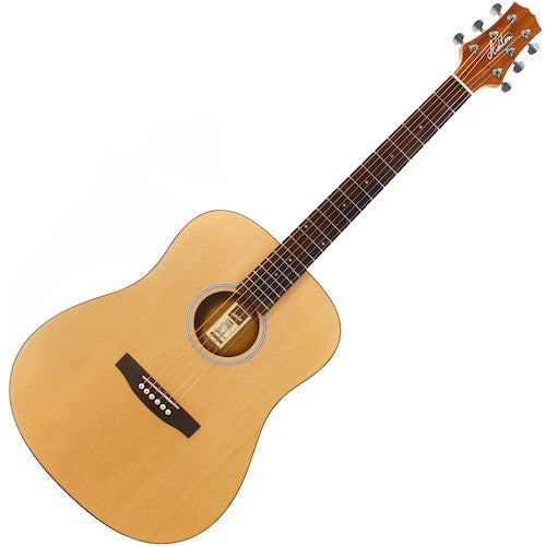 Ashton D20 Acoustic Guitar (4 Colours)