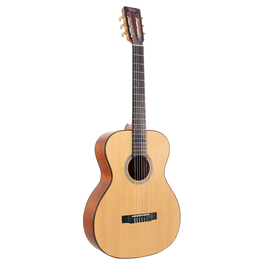 Valencia VA434 4/4 Size Auditorium Classical Guitar (3 Colours) (H)