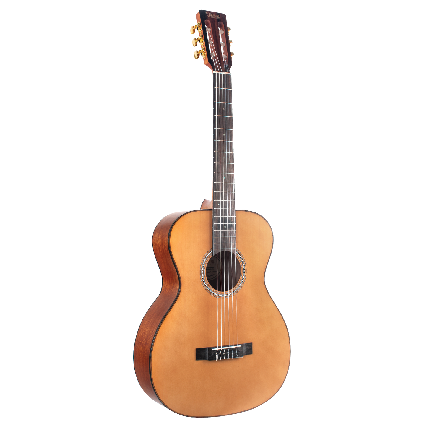 Valencia VA434 4/4 Size Auditorium Classical Guitar (3 Colours) (H)