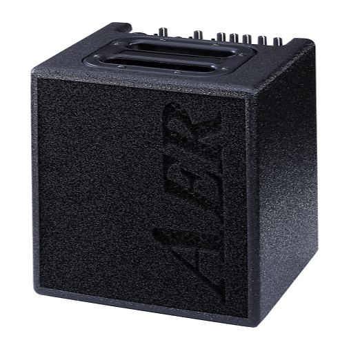 AER Alpha Acoustic Guitar Amp